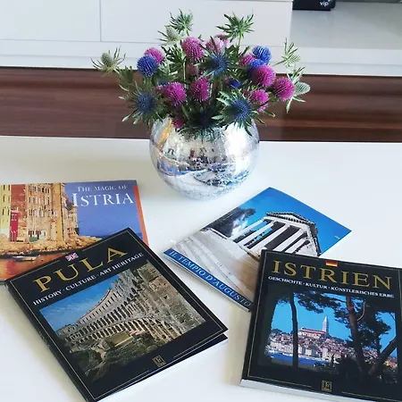 公寓 Cornial 普拉